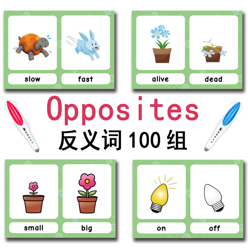 100 Gruppi di Carte Flash con  - Kids Education And You recensione e prezzo