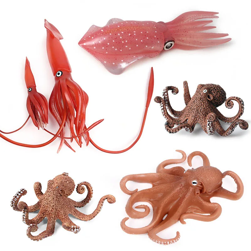 Sea Life Ocean Animals Soft Sq - Kids Education Tv Shows recensione e prezzo